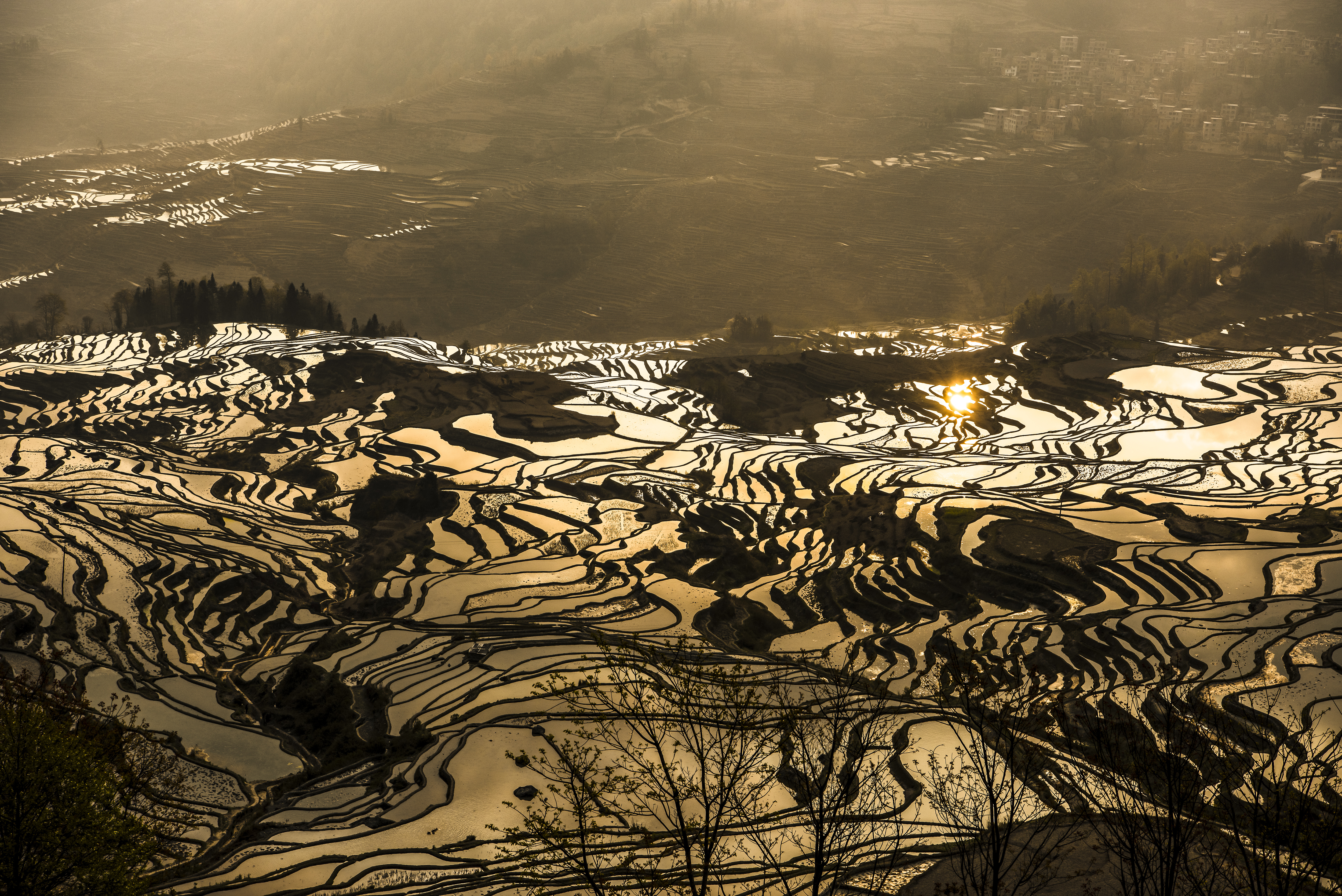 22界 (1).jpg 22界 (1).jpg